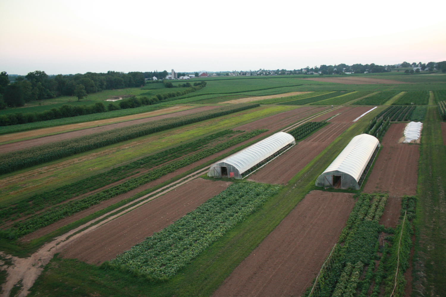 Indigo Valley Farm