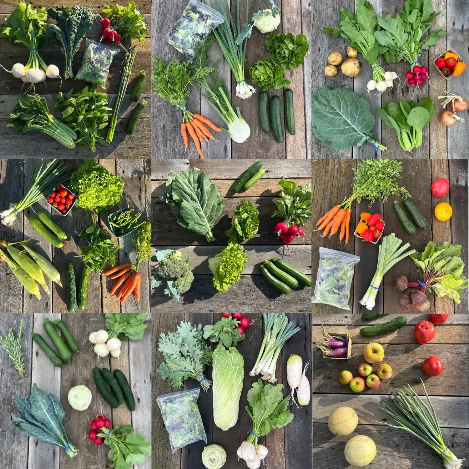 Happy Harvest Co-op